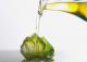How To Enliven Summer Dishes With Olive Oil